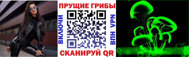 Купить  Невельск  Галлюциногенные грибы MAGIC MUSHROOMS 